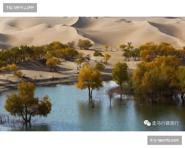 门内加运动能力出色，新疆队快攻反击中又多一可靠终结点